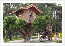 foto - Casa na �rvore