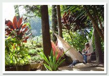 foto - Jardim