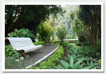 foto - Jardim